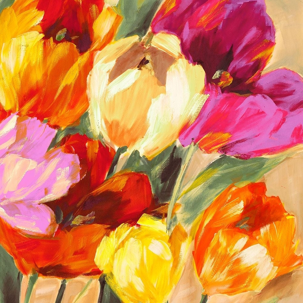 Colorful Tulips II Poster Print - Jim Stone-VARPDX1SN6230 Image 1