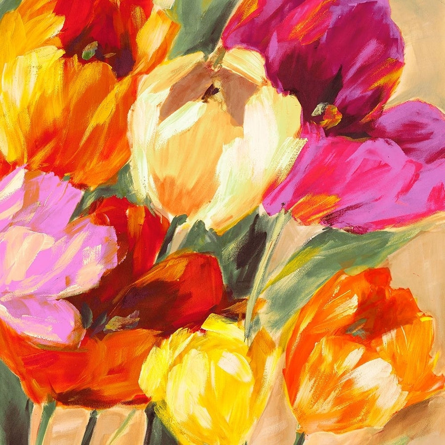 Colorful Tulips II Poster Print - Jim Stone-VARPDX1SN6230 Image 1