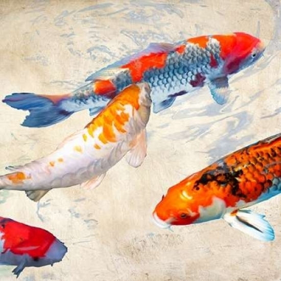 Koi II Poster Print by Teo Rizzardi-VARPDX1TR2417 Image 1