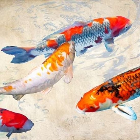 Koi II Poster Print by Teo Rizzardi-VARPDX1TR2417 Image 2