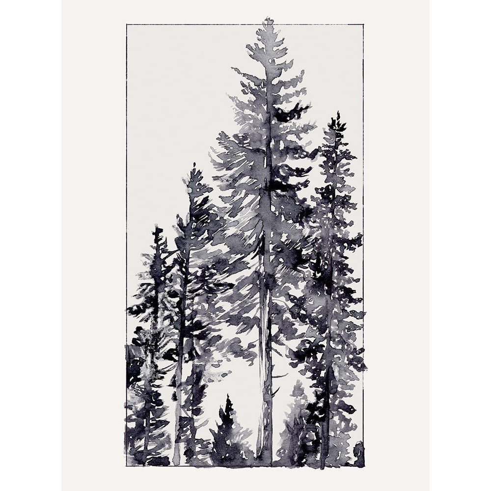 Inky Evergreen II Poster Print - Jacob Green-VARPDX200125Z Image 1