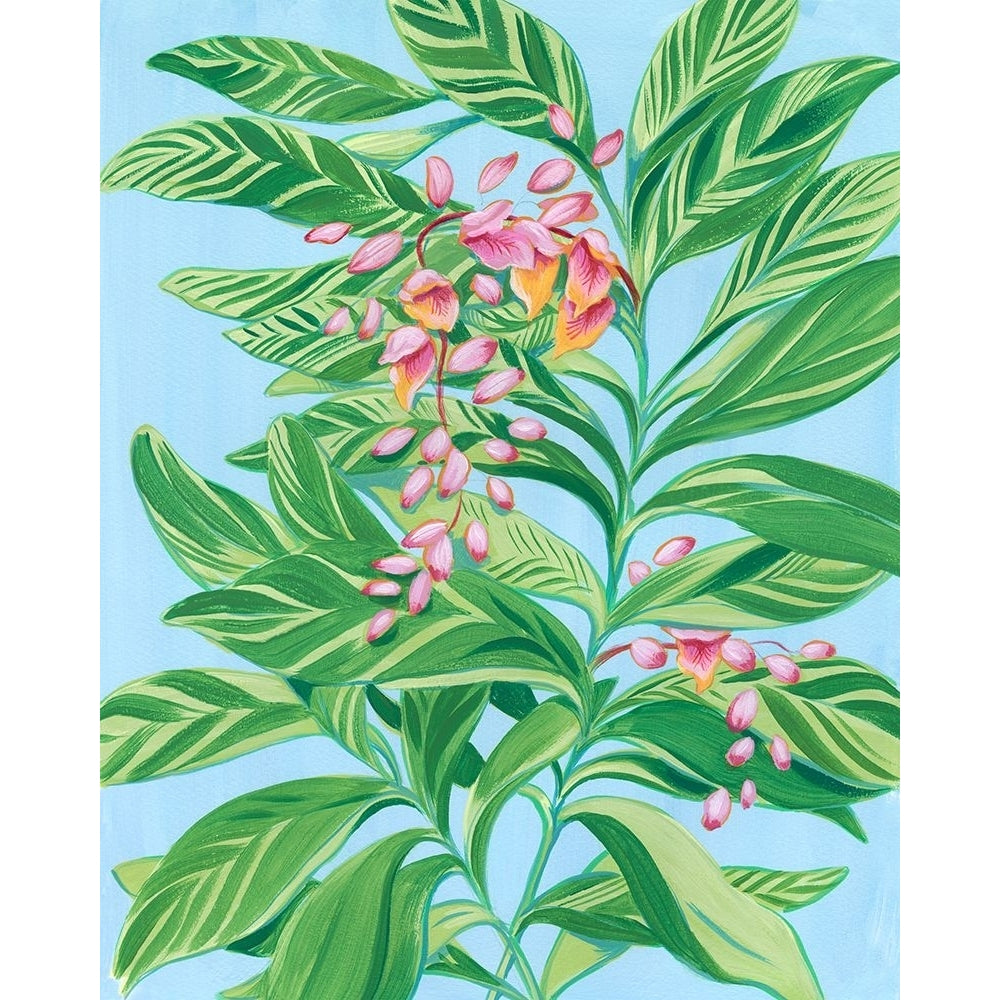 Tropical Shell Ginger II Poster Print - Laura Marr-VARPDX200159Z Image 1