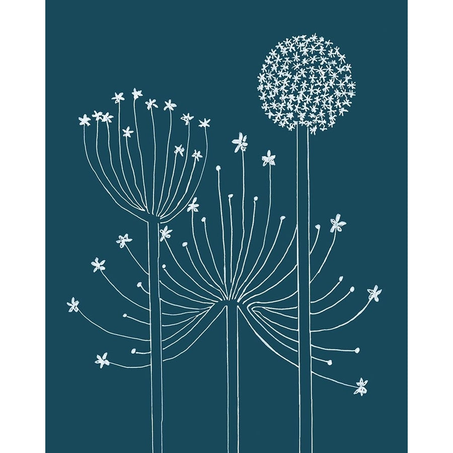 Graphic Alliums II Poster Print - Alicia Longley-VARPDX200403Z Image 1