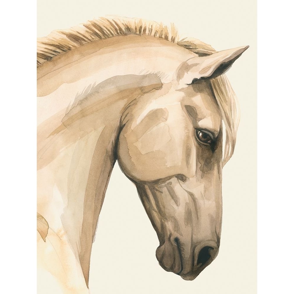 Golden Palomino I Poster Print - Grace Popp-VARPDX200455FN Image 1