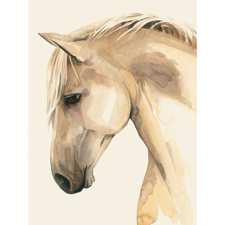 Golden Palomino II Poster Print - Grace Popp-VARPDX200456FN Image 1