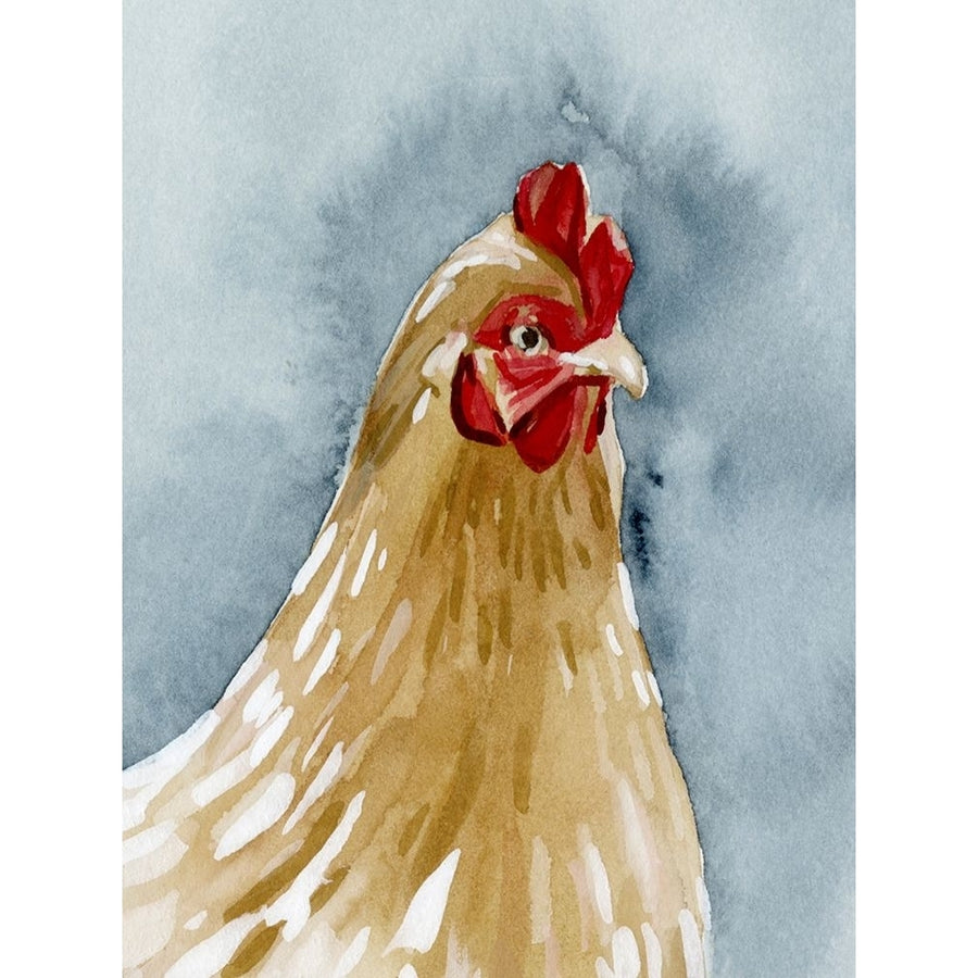 Chicken Portrait II Poster Print - Emma Caroline-VARPDX200828Z Image 1