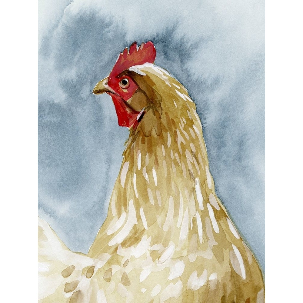 Chicken Portrait I Poster Print - Emma Caroline-VARPDX200827Z Image 1