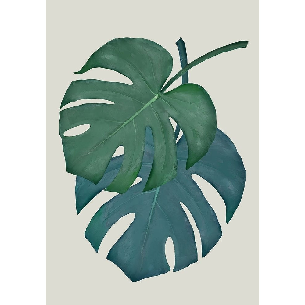 Monstera Aqua 06 Poster Print - 1x Studio II-VARPDX2008635 Image 1