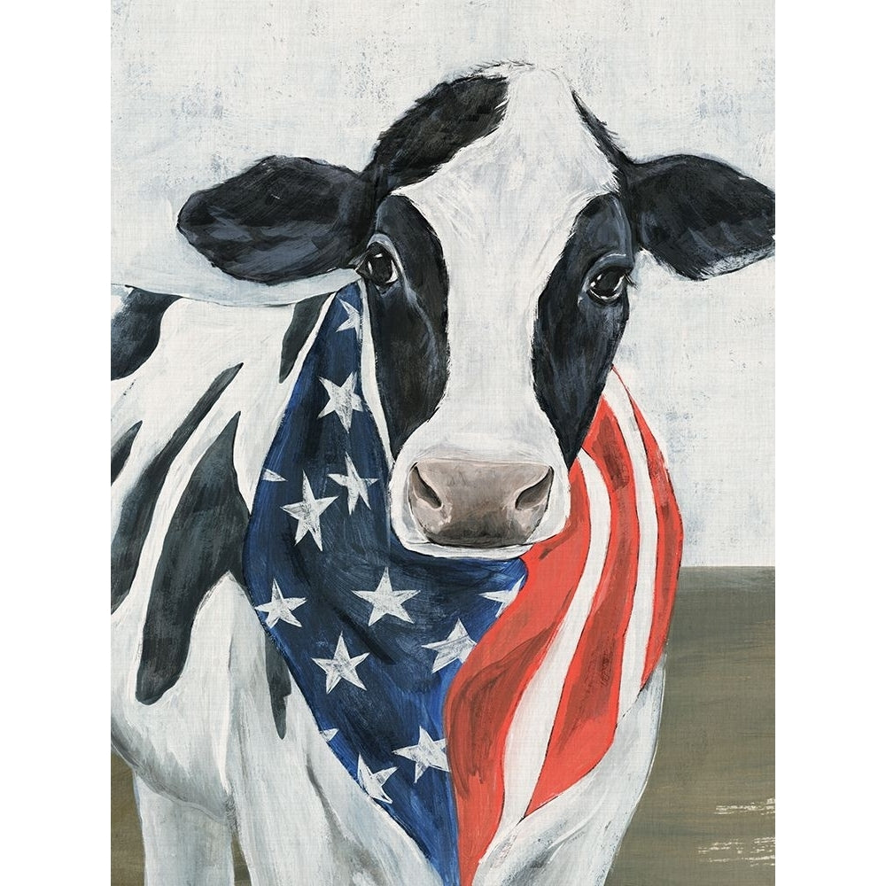 American Cow II Poster Print - Annie Warren-VARPDX200891Z Image 1