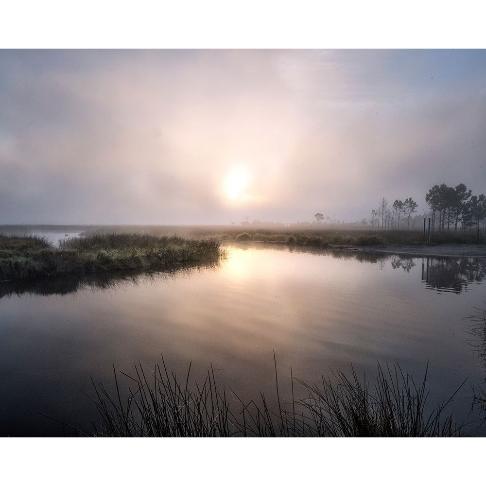 Fog on the Bayou Poster Print - Danny Head-VARPDX200907 Image 1