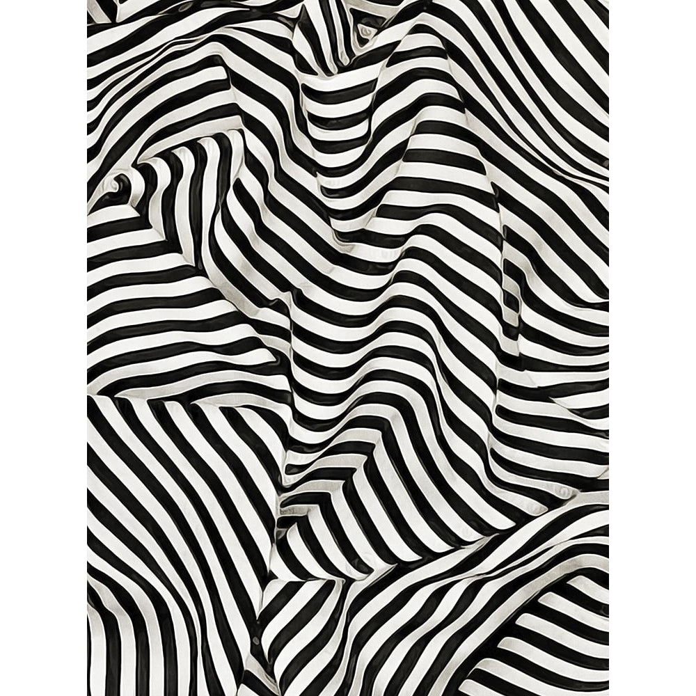 Black White Bold and Bright I Poster Print - Ashley Aldridge-VARPDX201695Z Image 1