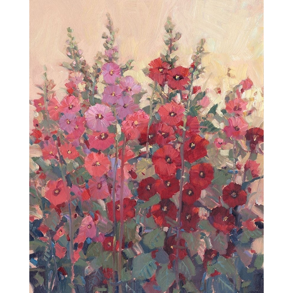 Hollyhocks in a Row I Poster Print - Tim OToole-VARPDX201843Z Image 1