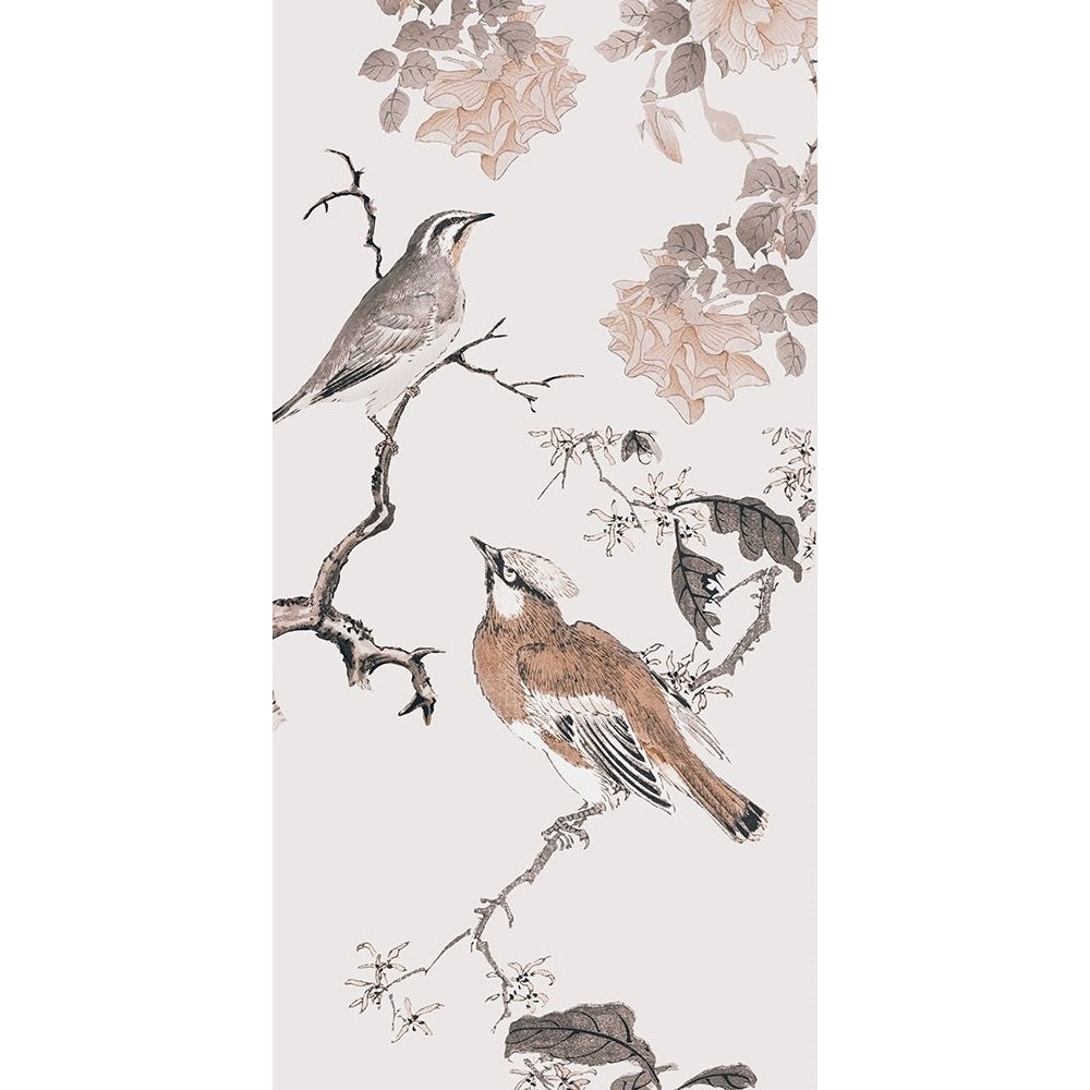 Birds of Asia I Poster Print - Andrea Haase-VARPDX202035Z Image 1