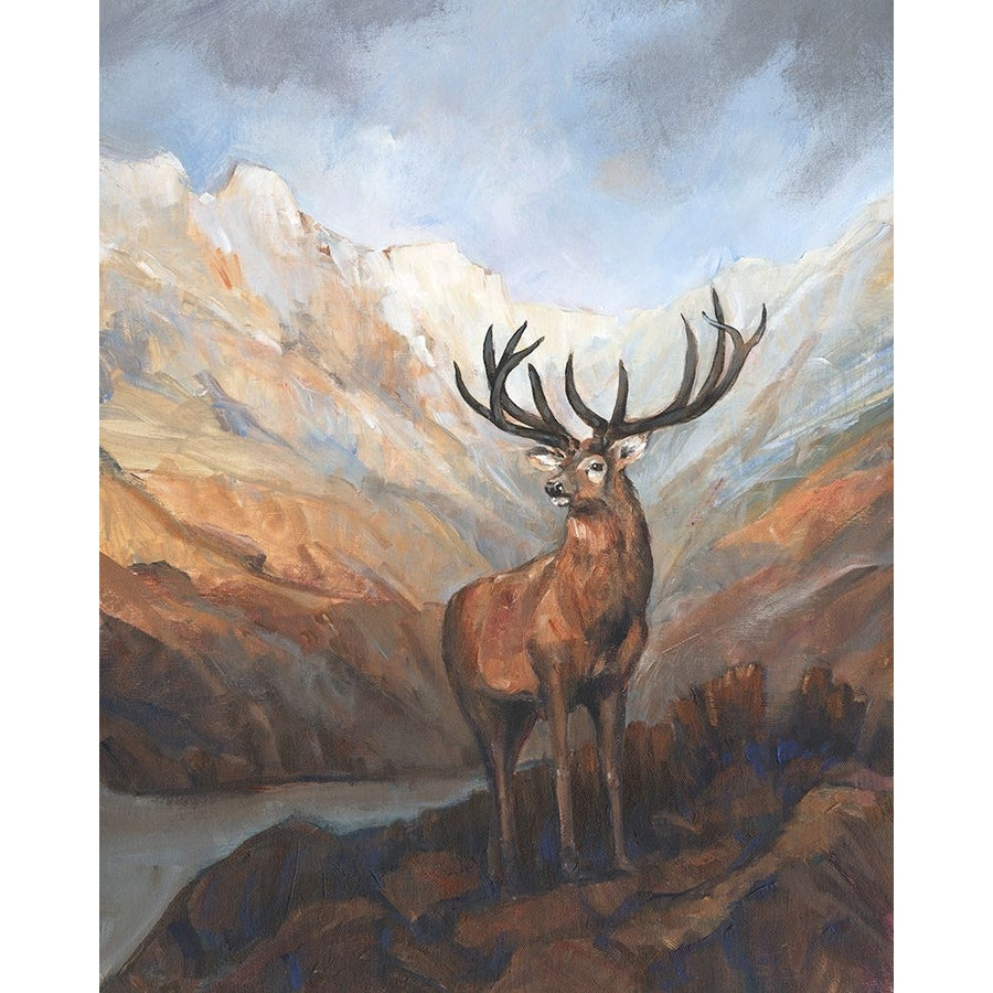 Great Stag in Mountains I Poster Print - Tim OToole-VARPDX202632Z Image 1