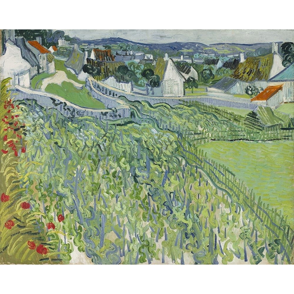 Vineyards at Auvers Poster Print - Gogh Vincent Van-VARPDX203002Z Image 1