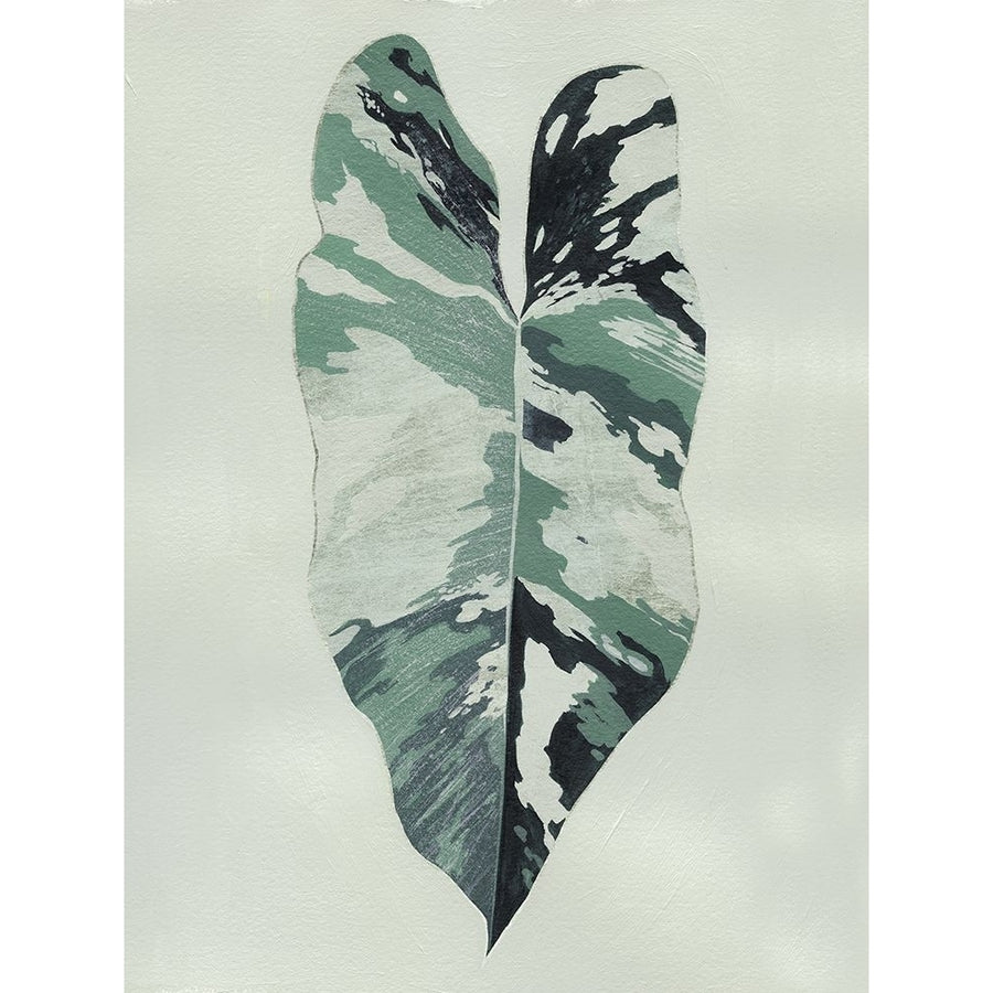 Variegated I Poster Print - Grace Popp-VARPDX203046FN Image 1