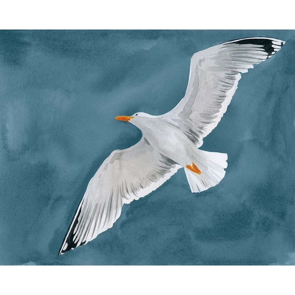 Gull in a Gale II Poster Print - Grace Popp-VARPDX203075Z Image 1