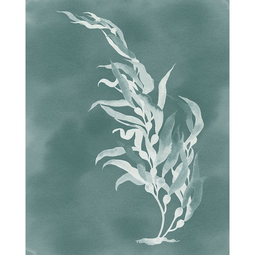 Ghost Kelp II Poster Print - Grace Popp-VARPDX203097Z Image 1