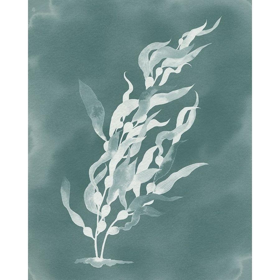 Ghost Kelp I Poster Print - Grace Popp-VARPDX203096Z Image 1