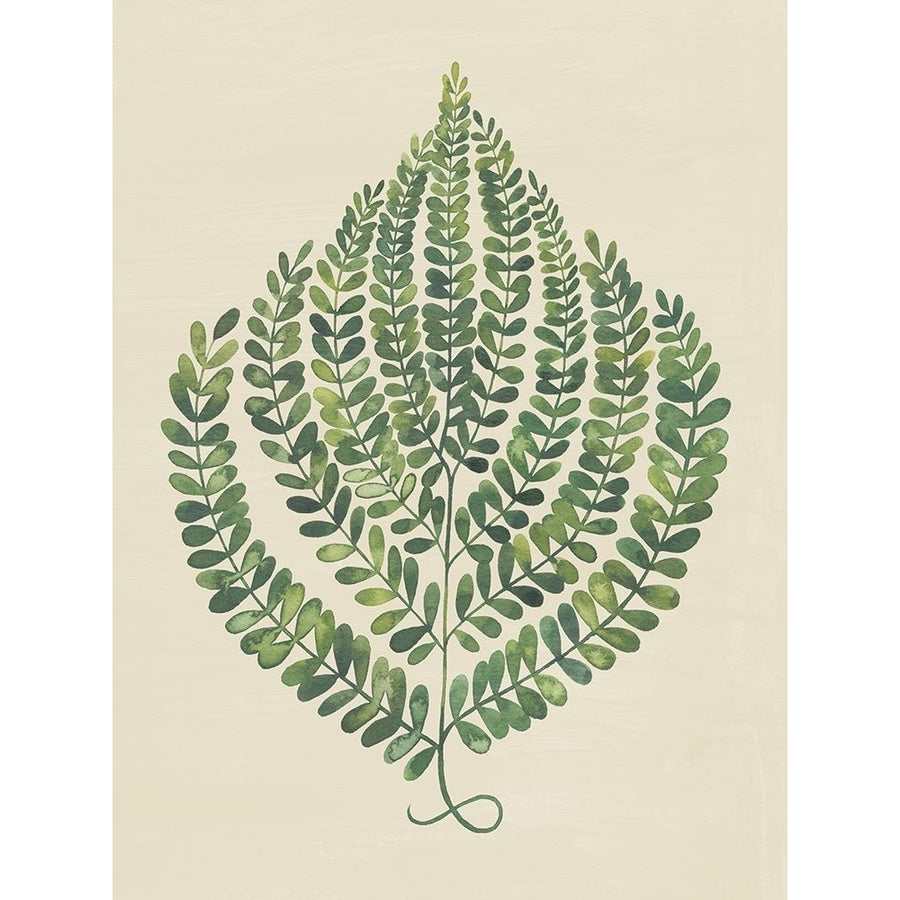 Memory Fern I Poster Print - Grace Popp-VARPDX203180Z Image 1