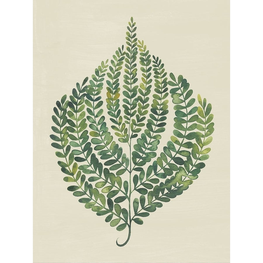 Memory Fern II Poster Print - Grace Popp-VARPDX203181Z Image 1