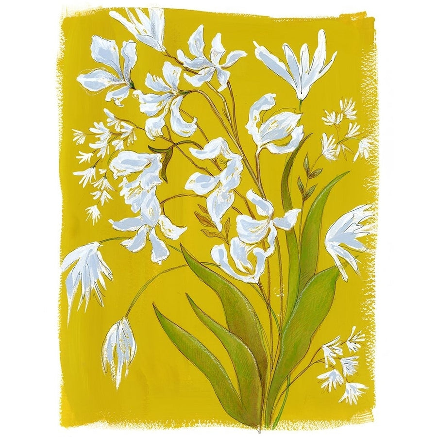 White Blooms in Yellow Field I Poster Print - Laura Marr-VARPDX203238Z Image 1