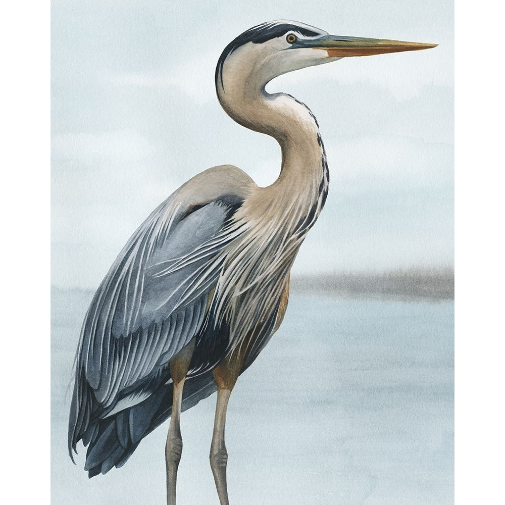 Back Bay Heron I Poster Print - Grace Popp-VARPDX203236Z Image 1