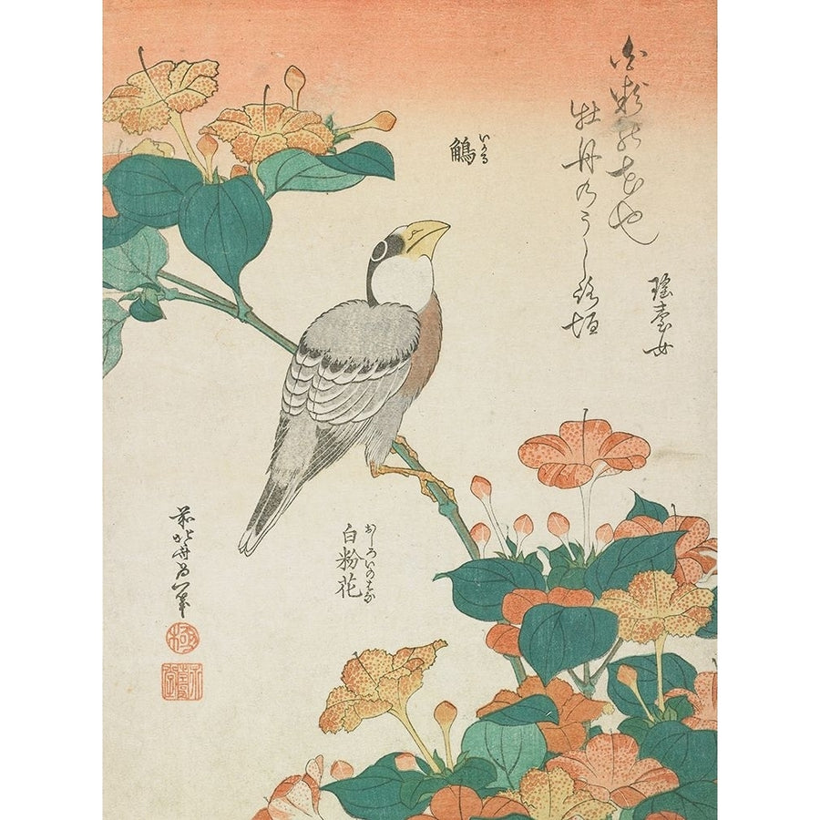 Katsushika Hokusai Flowers And Bird II Poster Print - Katsushika Hokusai-VARPDX203521Z Image 1