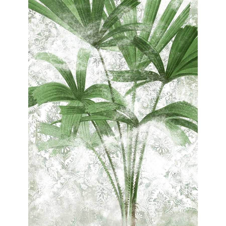 Lace Palms II Poster Print - June Erica Vess-VARPDX203610Z Image 1