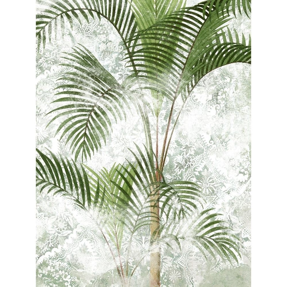 Lace Palms I Poster Print - June Erica Vess-VARPDX203609Z Image 1