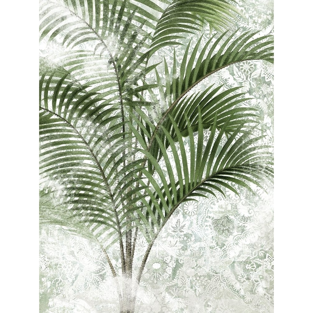 Lace Palms IV Poster Print - June Erica Vess-VARPDX203612Z Image 1