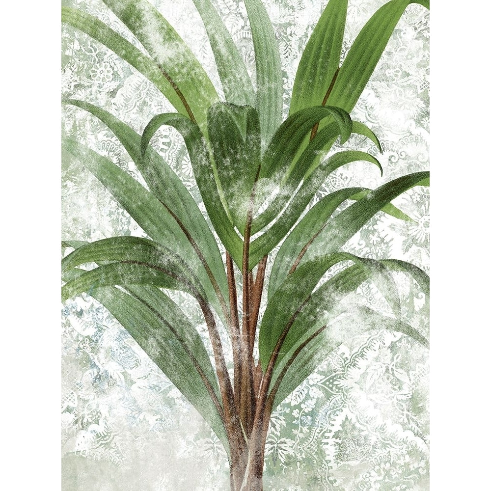 Lace Palms III Poster Print - June Erica Vess-VARPDX203611Z Image 1