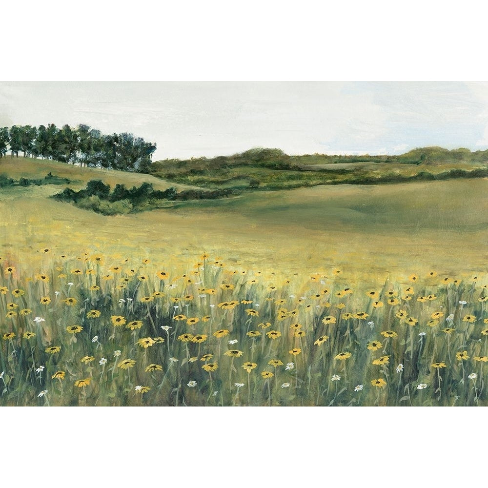 Yellow Meadow Poster Print - Michael Willett-VARPDX203651FN Image 1