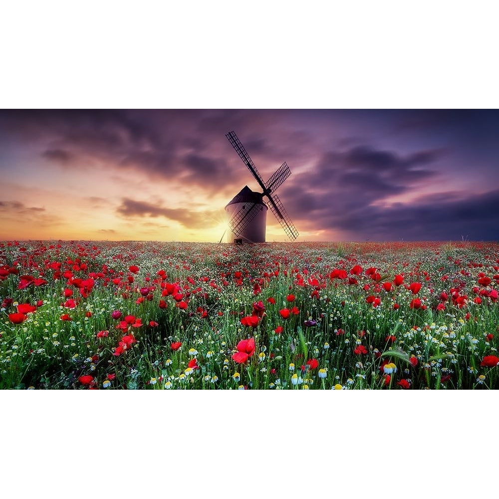 Spring By The Windmill Poster Print - Jose Antonio Trivino-VARPDX2036682 Image 1