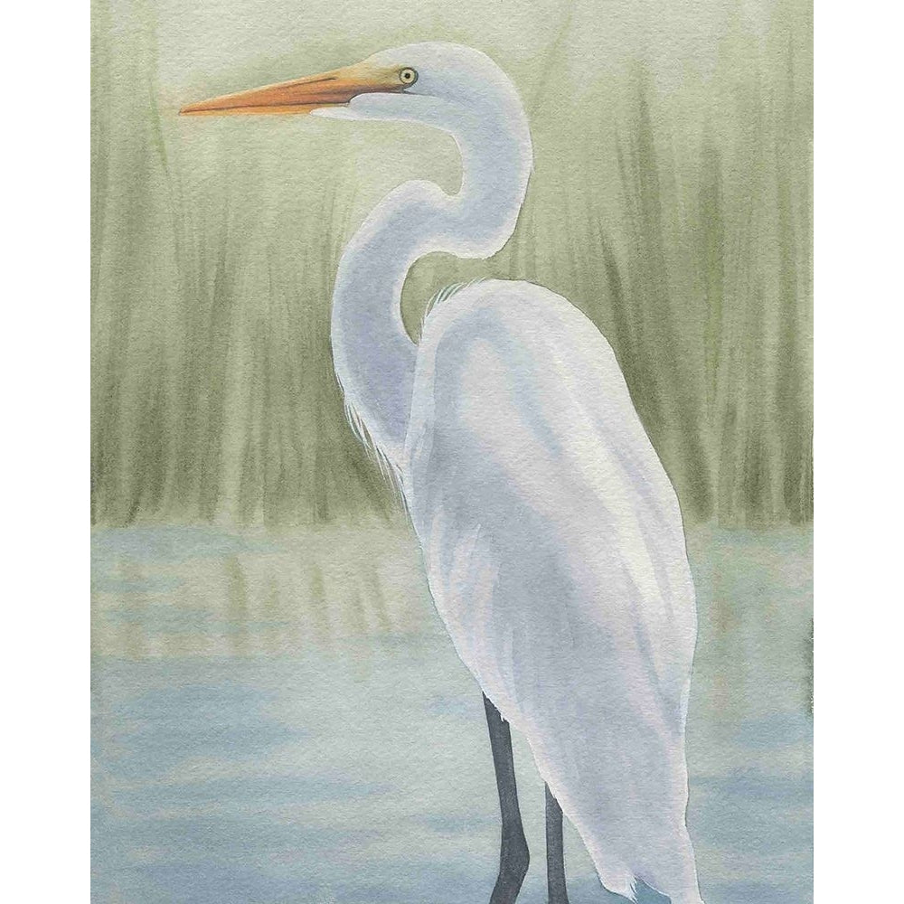 Dreams of Egrets I Poster Print - Grace Popp-VARPDX203829FN Image 1