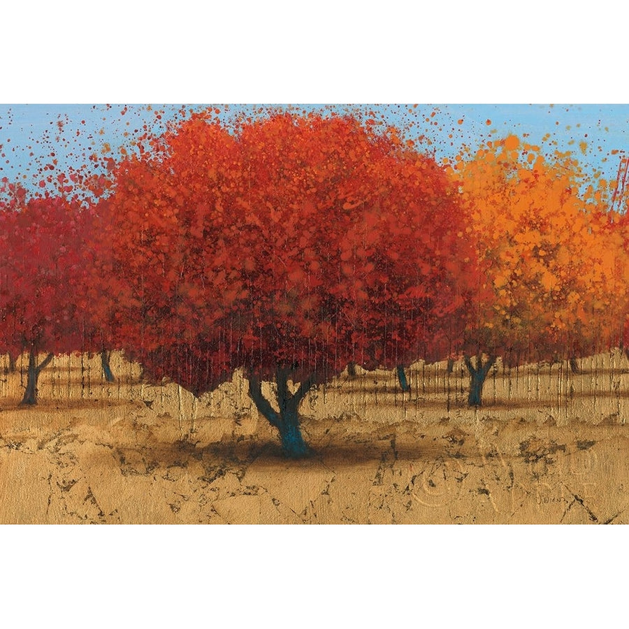 Orange Trees II Poster Print by James Wiens-VARPDX20389 Image 1