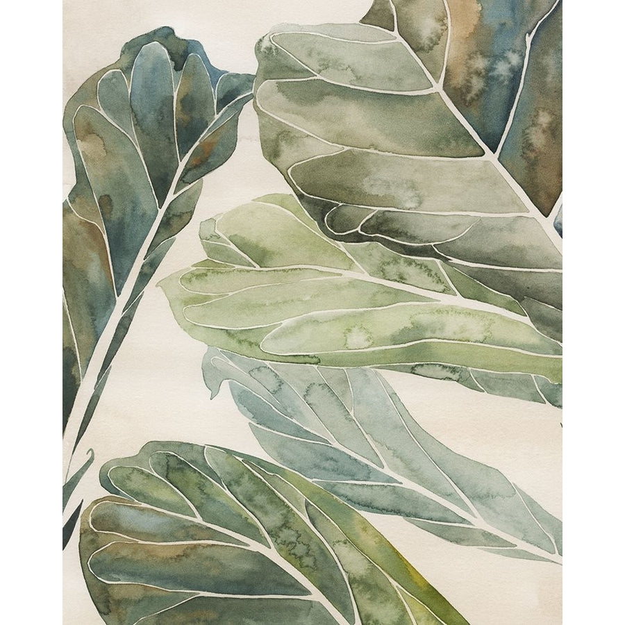 Fiddle Leaf Fig I Poster Print - Grace Popp-VARPDX204190FN Image 1