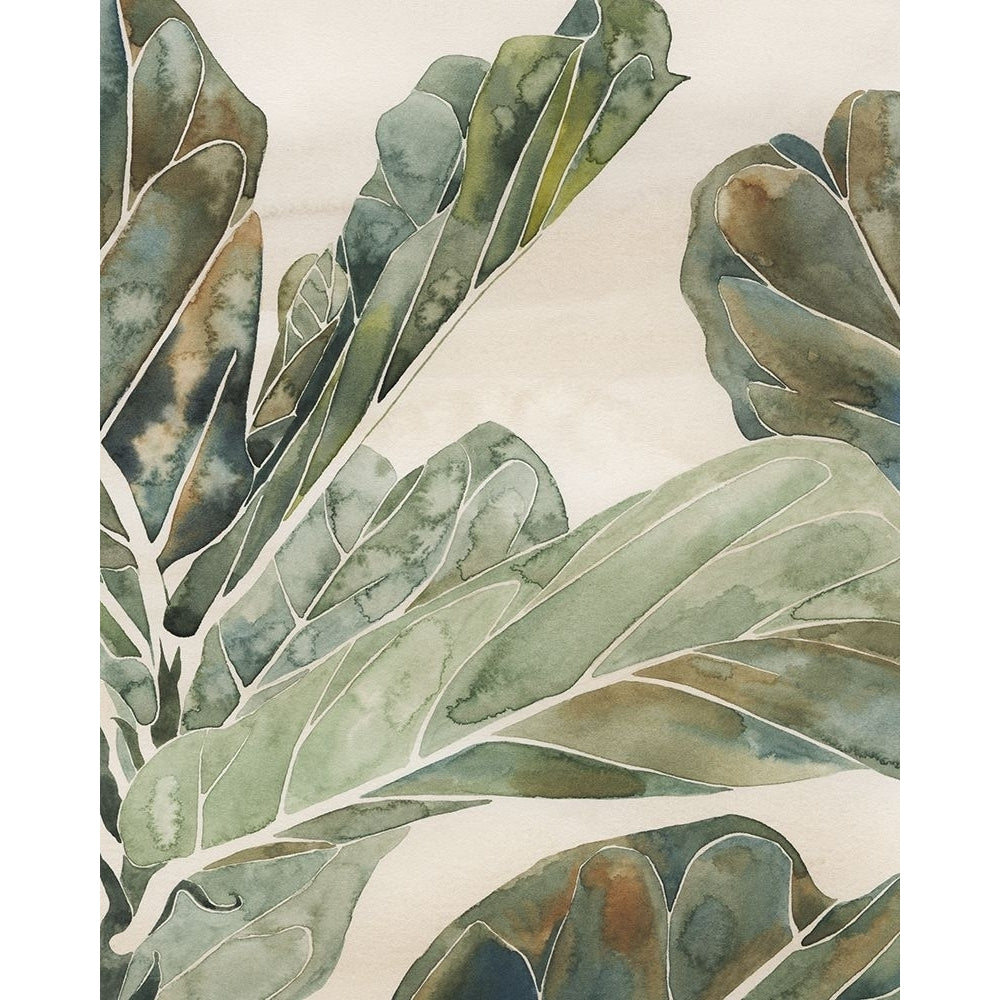 Fiddle Leaf Fig II Poster Print - Grace Popp-VARPDX204191FN Image 1