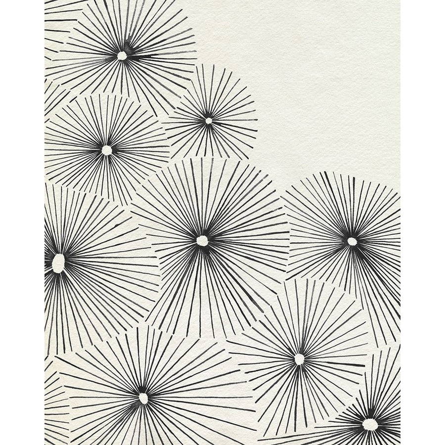 Umbrella Bursts I Poster Print - Grace Popp-VARPDX204201FN Image 1