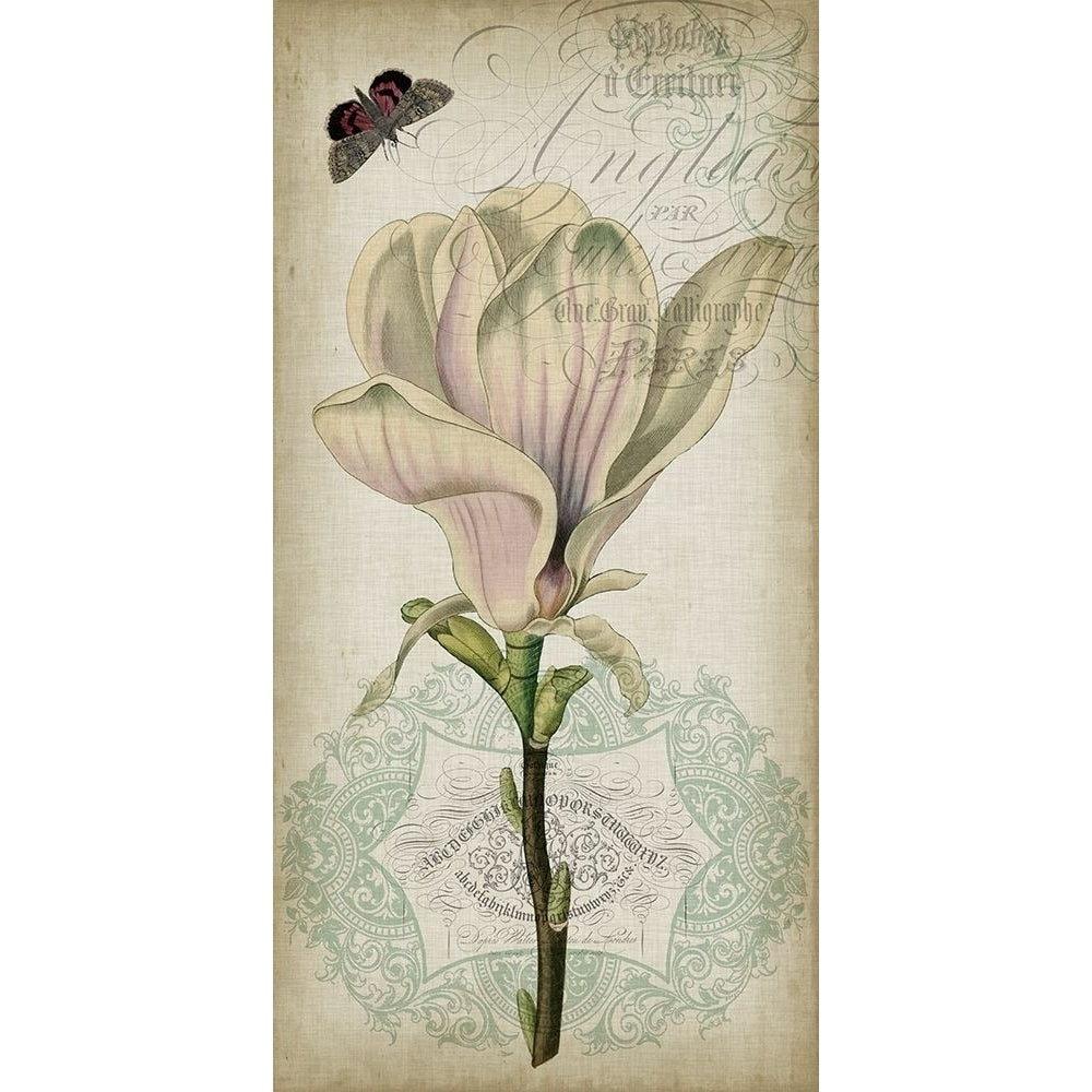 Cartouche and Floral I Poster Print - Jennifer Goldberger-VARPDX20430Z Image 1