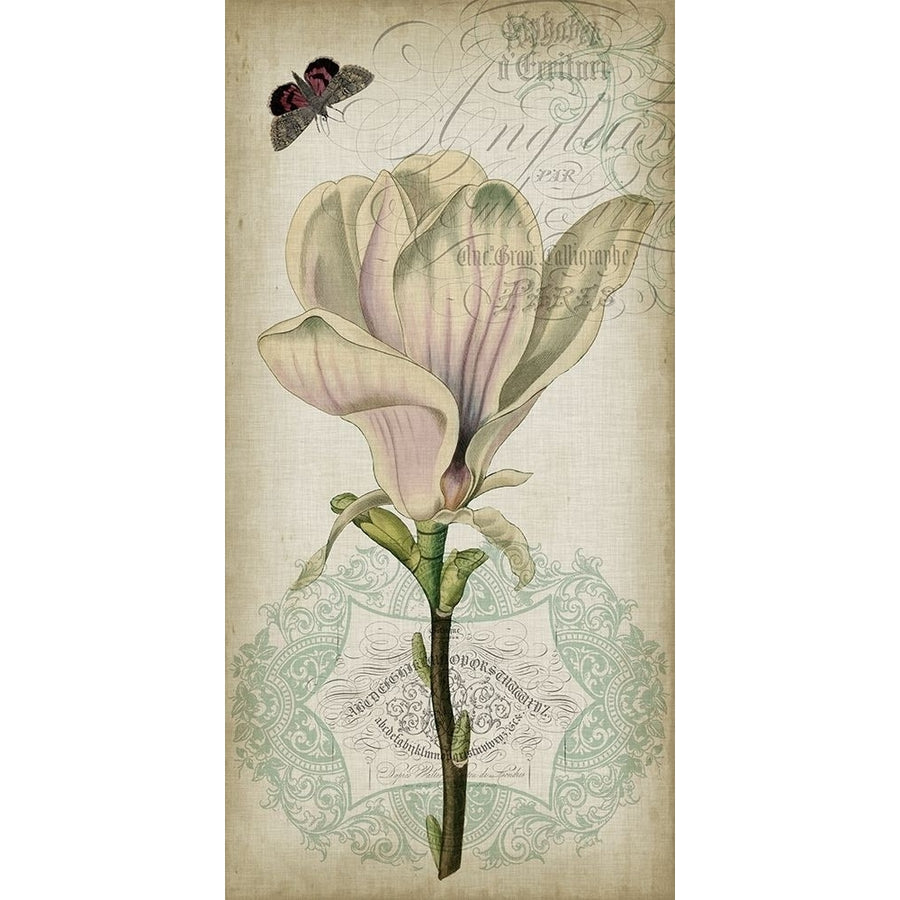 Cartouche and Floral I Poster Print - Jennifer Goldberger-VARPDX20430Z Image 1