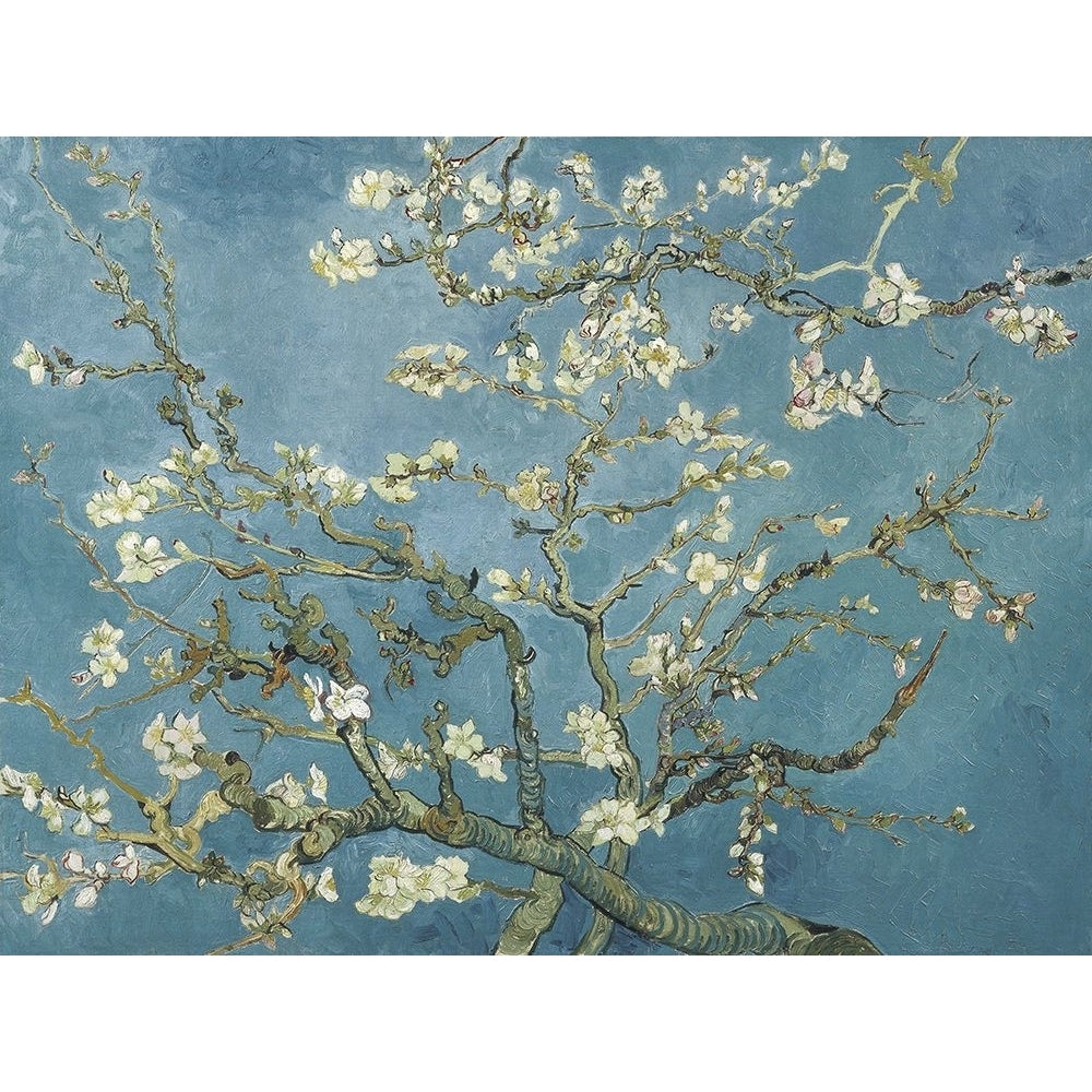 Van Goghs Almond Blossom Poster Print - Gogh Vincent Van-VARPDX204349Z Image 1