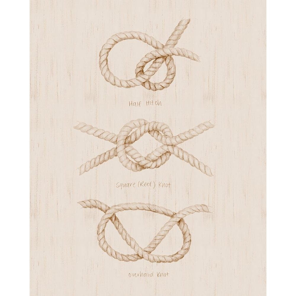 Nautical Knot Study II Poster Print - Grace Popp-VARPDX204473Z Image 1