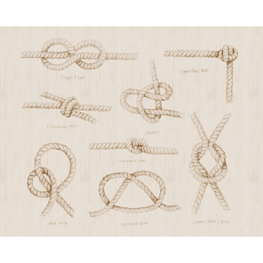 Nautical Knot Study III Poster Print - Grace Popp-VARPDX204474Z Image 1