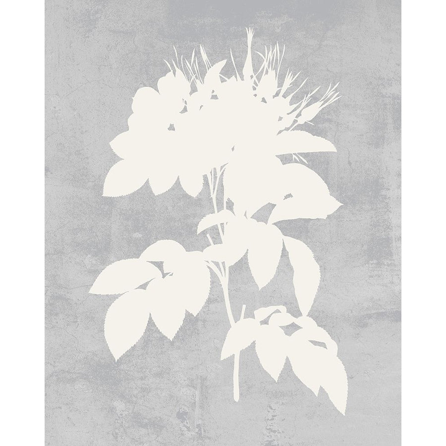 Falling Flowers I Poster Print - Melissa Wang-VARPDX204509FN Image 1