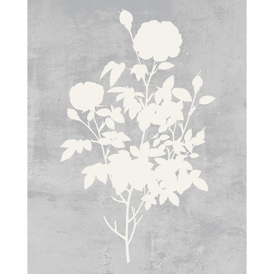 Falling Flowers II Poster Print - Melissa Wang-VARPDX204510FN Image 1