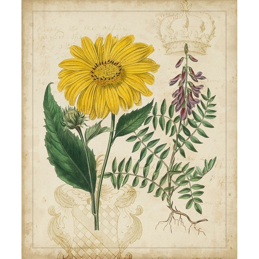 Botanical Repertoire III Poster Print - Studio Vision-VARPDX20466Z Image 1