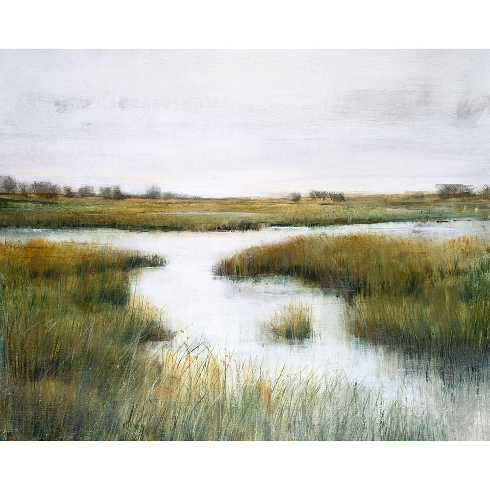 Misty Marshland I Poster Print - Tim OToole-VARPDX204713FN Image 1