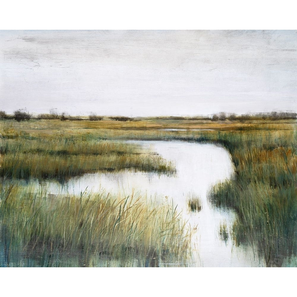 Misty Marshland II Poster Print - Tim OToole-VARPDX204714FN Image 1