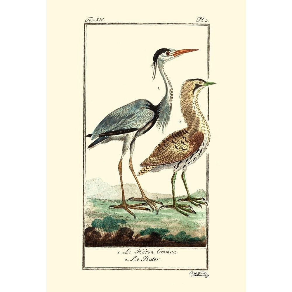 Custom Buffon Cranes And Herons III Poster Print - Buffon-VARPDX204859 Image 1